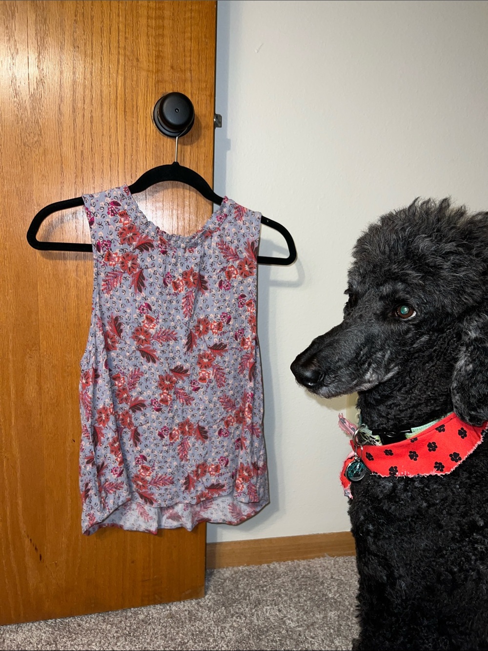 Roan & Ryan Sleeveless Floral Babydoll Tank Top- Lavender with Red Flowers